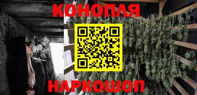 сатива Кунгур