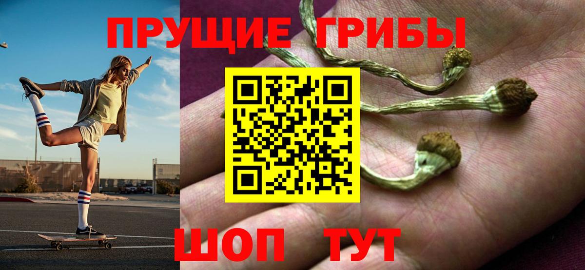 что такое наркотик  Псилоцибиновые грибы прущие грибы  Вход с VPN  Гулькевичи 